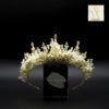 Stephanie's Crown